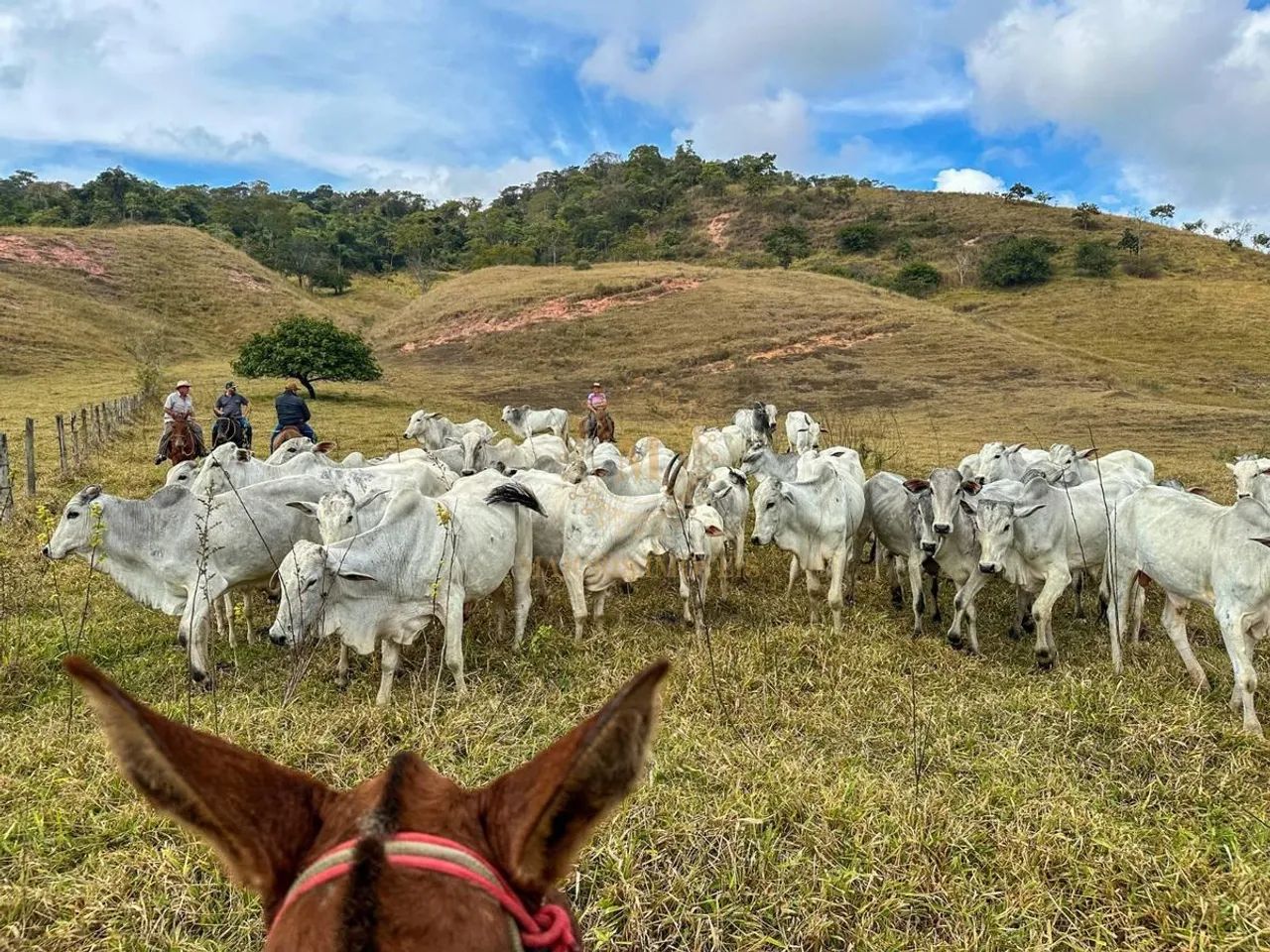 | 896.73 |  |  |