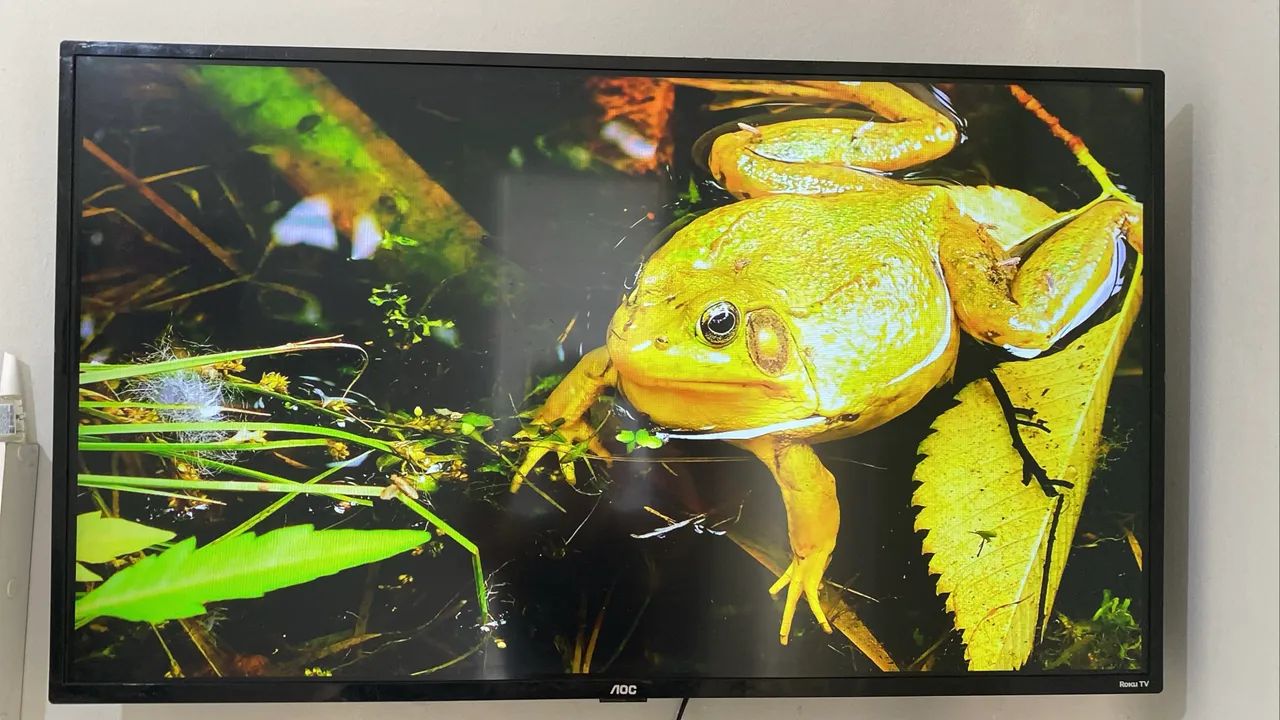 Tv smart 43 polegadas fullhd Roku - Foto 4