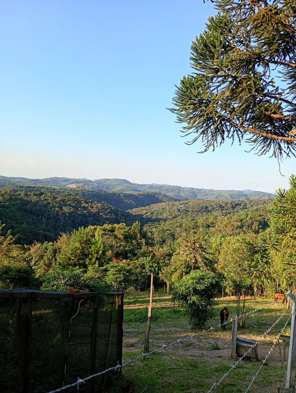 Vende se chácara  - Foto 5
