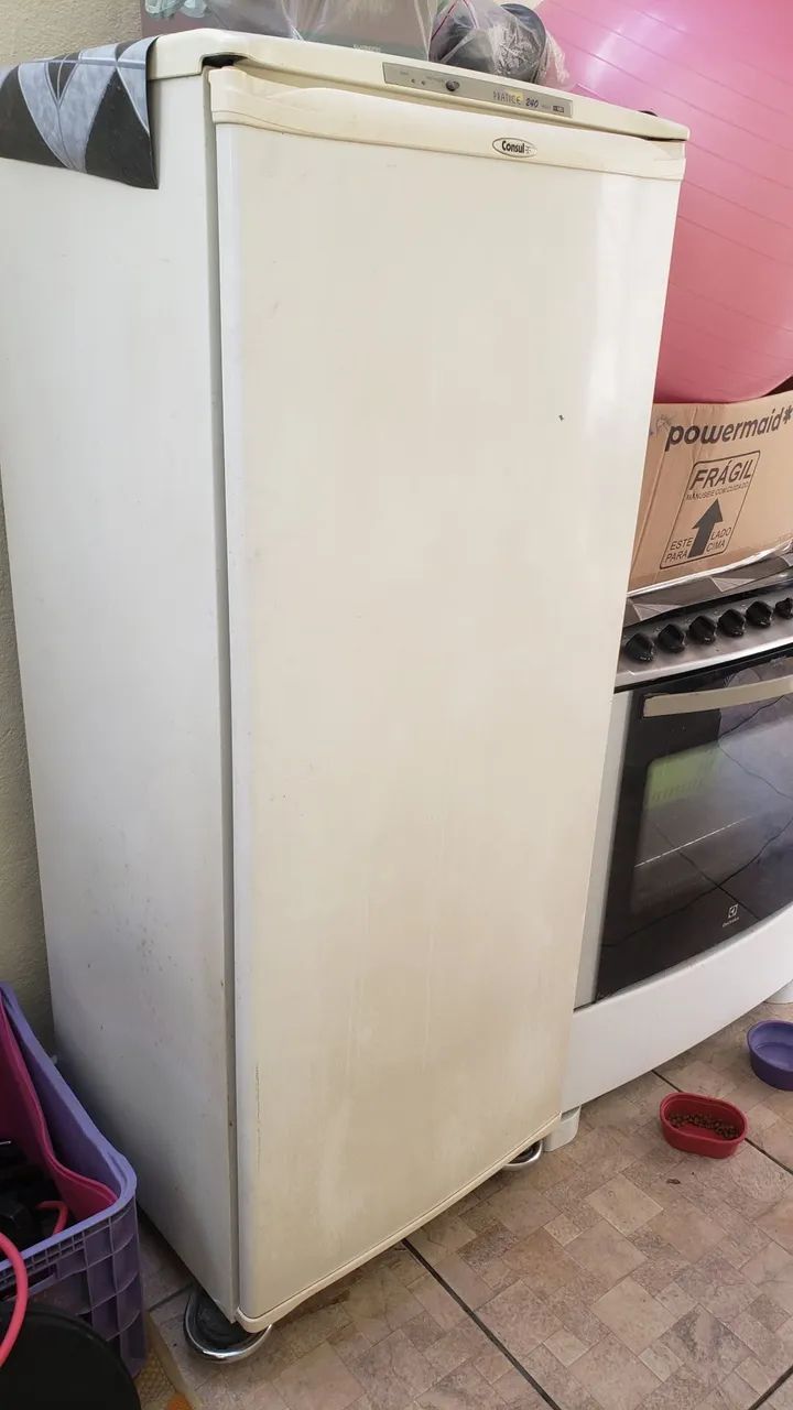 Freezer 220v