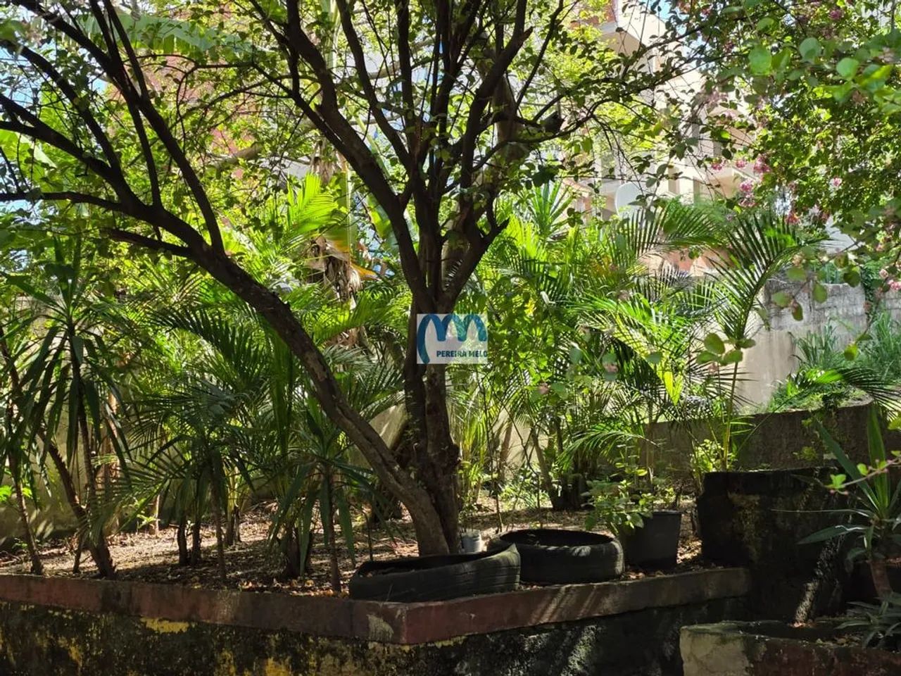Terreno/Lote à venda 2.454m² - Foto 5