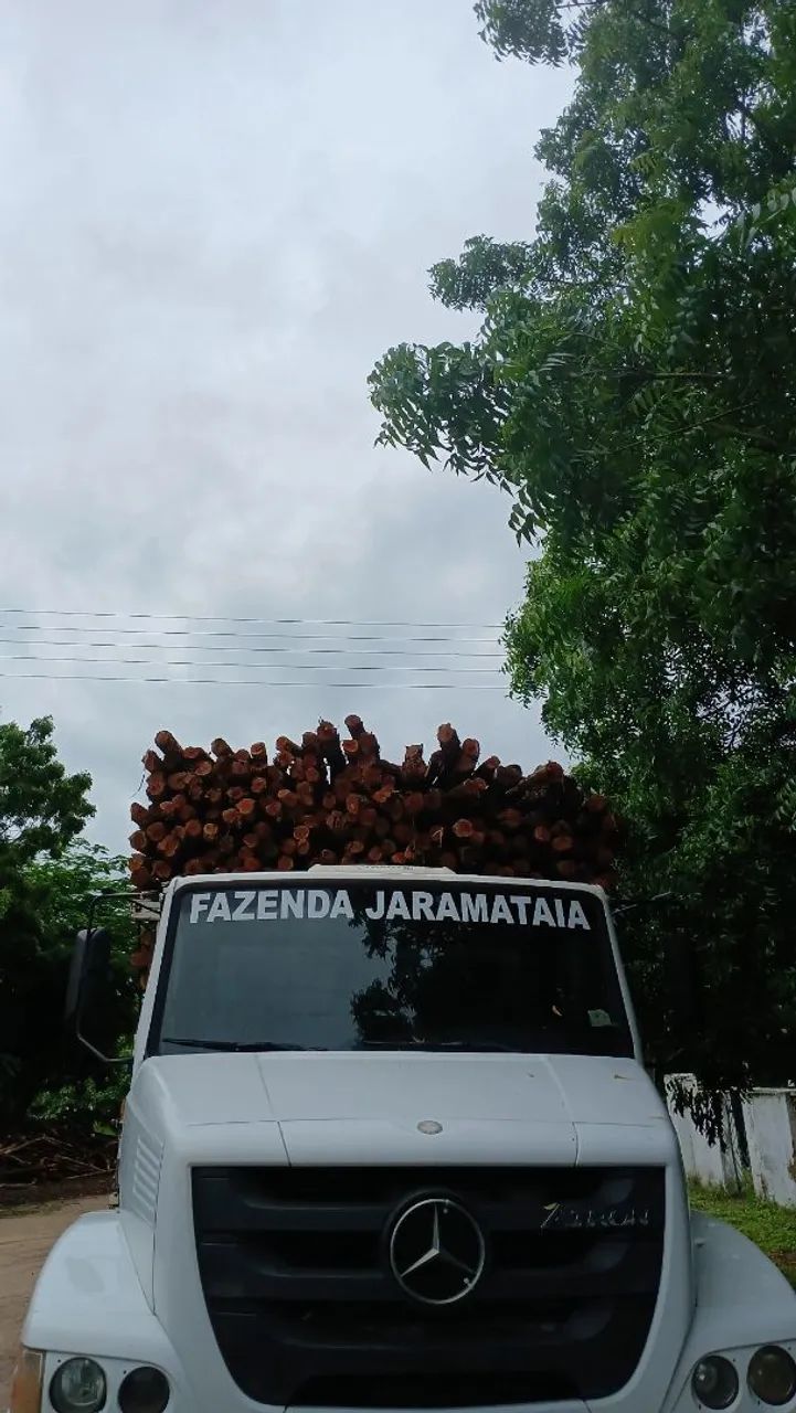 Estacas de qualidade no ponto pra entrega!!! - Foto 3