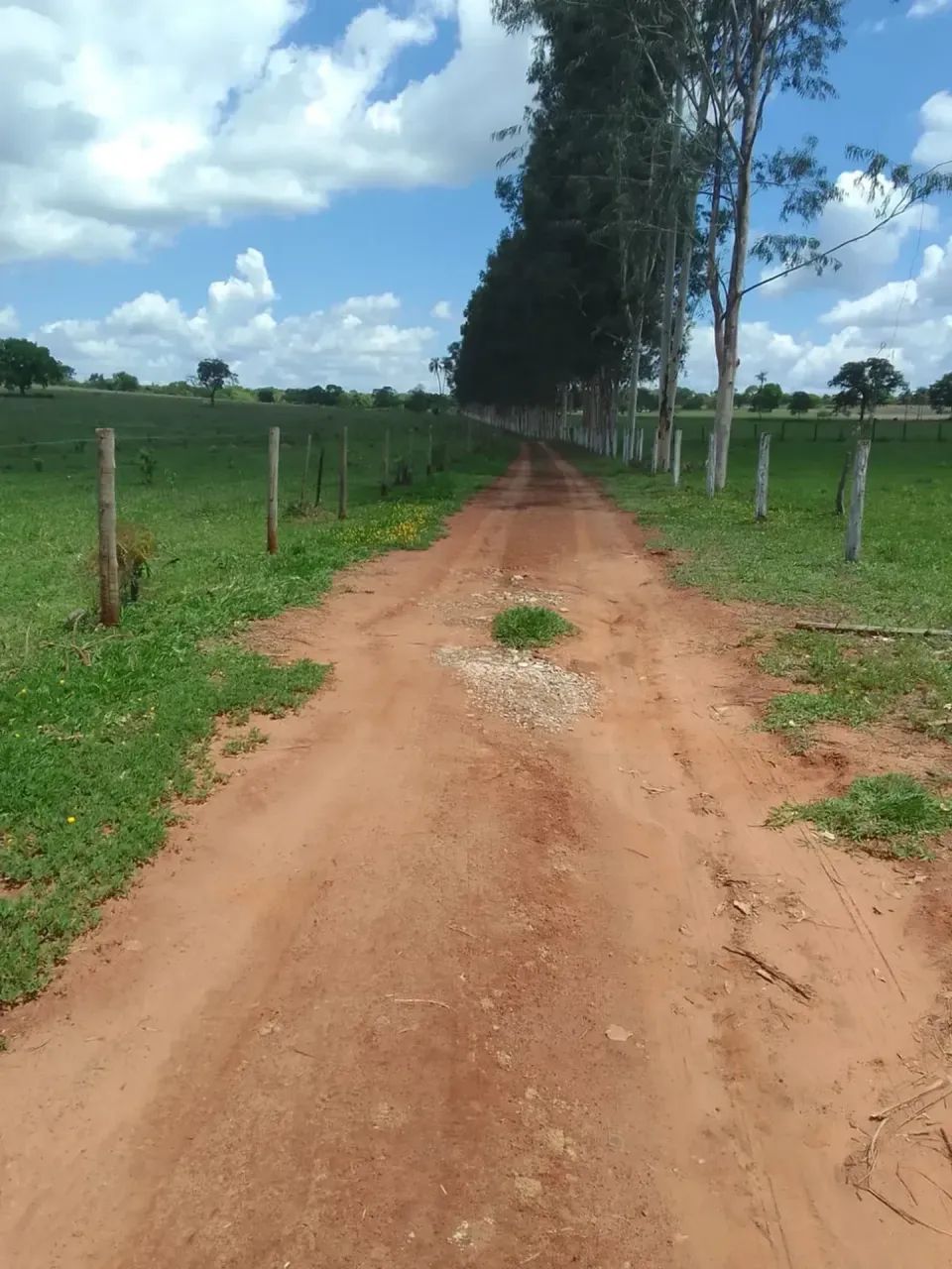 CÓD467  Fazenda à Venda  30 HECTARES  Rochedo/MS - Foto 4