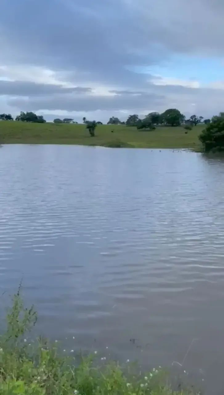 Fazenda com 216 hectares em Feira Nova- PE - Foto 3