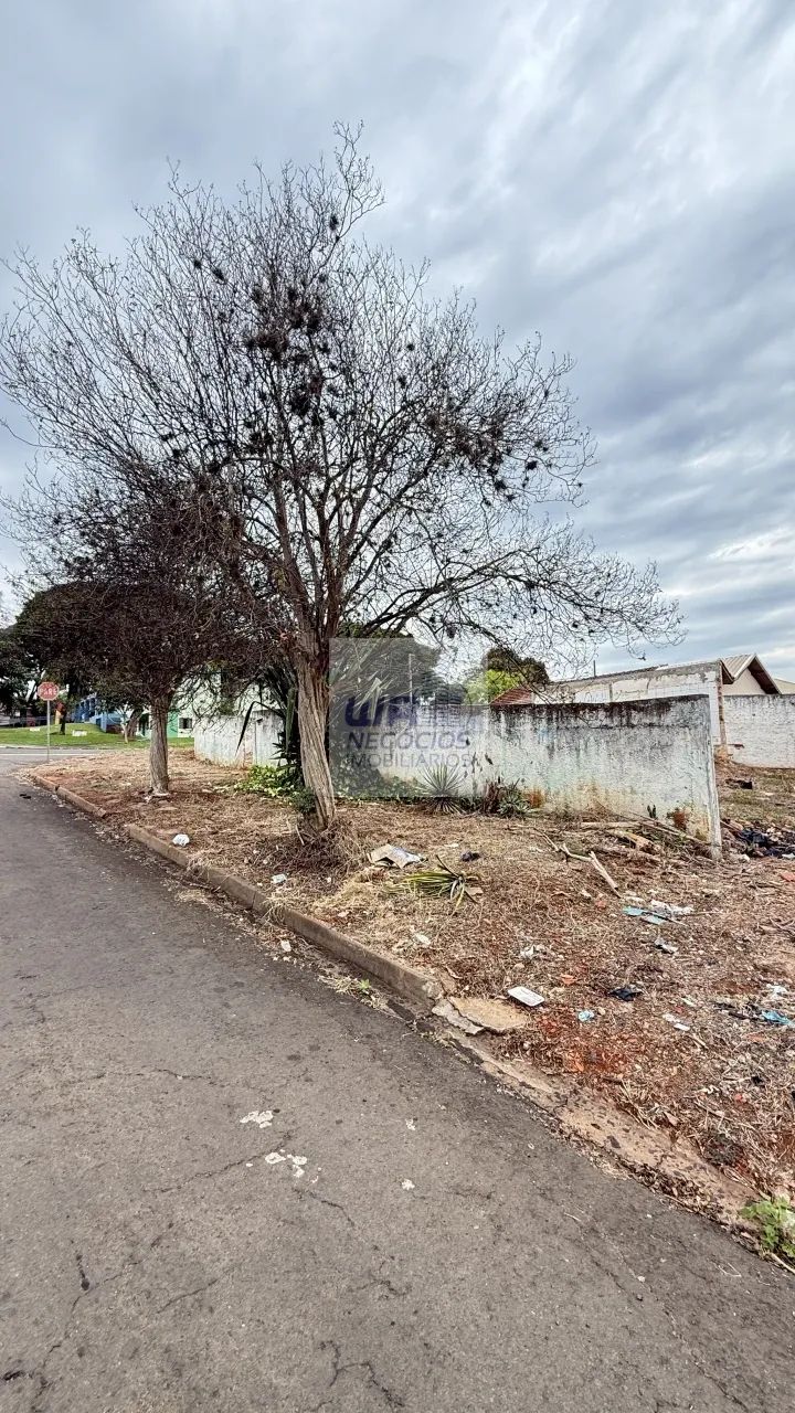 Terreno de esquina - Foto 4