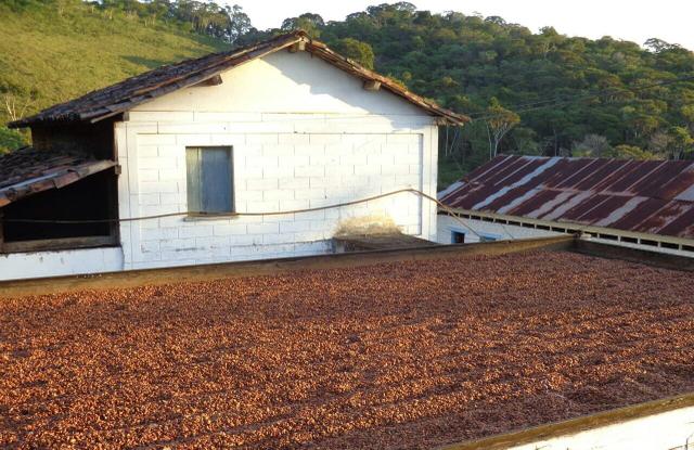 Fazenda em Travessão - Foto 17