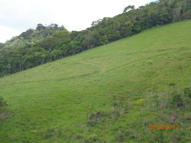 Fazenda em Travessão - Foto 2