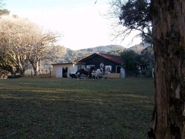 Sítio 12,0 hectares - samambaia - são francisco de paula - rs - Foto 2