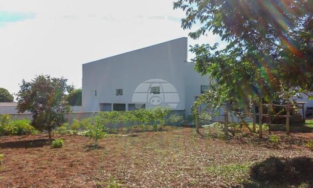 Galpão/depósito/armazém à venda em Vila nova, Teixeira soares cod:136088 - Foto 6