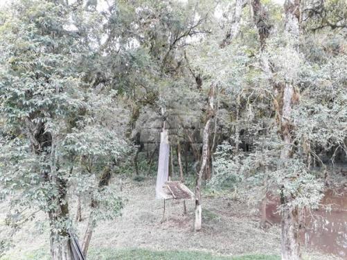 Chácara à venda em Picassinho, Piên cod:136674 - Foto 4