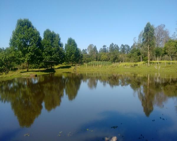 Sítio 46 hectares - lomba grande - novo hamburgo - rs - Foto 14