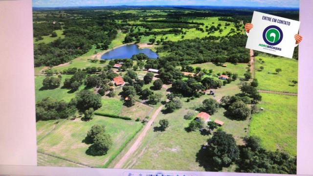 Fazenda 1.455ha região de rosário oeste - Foto 2