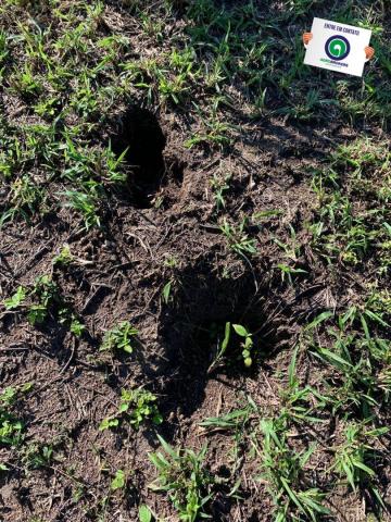 Fazenda região de rosário oeste - Foto 17