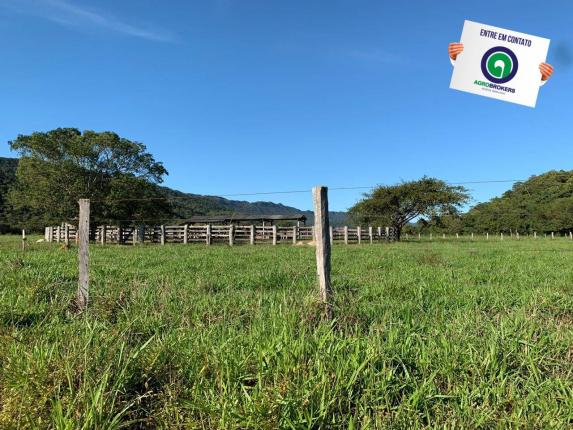 Fazenda região de rosário oeste - Foto 3