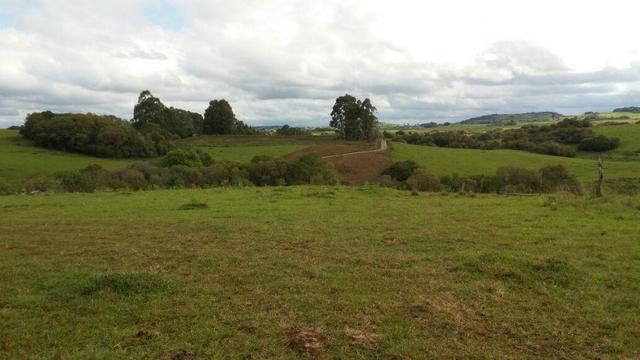 Área especial para sitio ou hortifrutigranjeiros com 12.5 HA - Foto 14