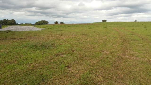 Área especial para sitio ou hortifrutigranjeiros com 12.5 HA - Foto 15