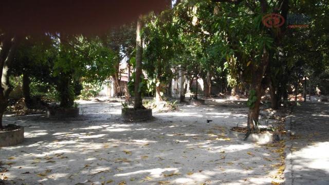 Terreno rural à venda, Turu, São Luís - TE0137. - Foto 8