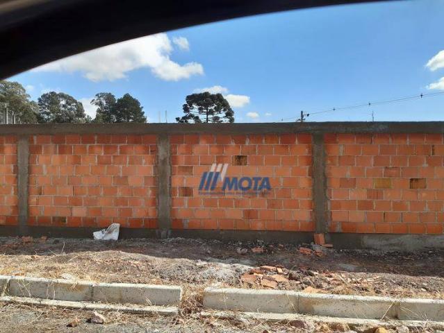 Terreno a venda são josé dos pinhais, bairro rio pequeno 2.446,74m2 - Foto 5