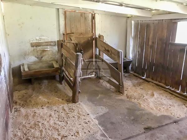Chácara à venda em Roça velha, São josé dos pinhais cod:150582 - Foto 14