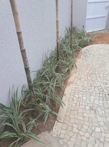 Manutenção e implantação de gramados - Foto 3