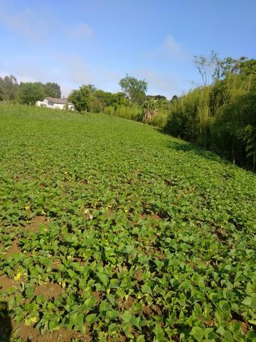 Vende ou Trocar a Chácara Região de Ivaí - Foto 6