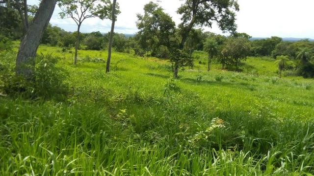 Fazenda formada, 200 hectares 100% asfaltoa Cuiabá, na BR - Foto 7