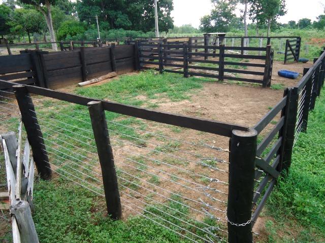 Fazenda formada, 200 hectares 100% asfaltoa Cuiabá, na BR - Foto 17