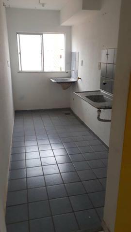 Vendo ou alugo gaivotas turu - Foto 5