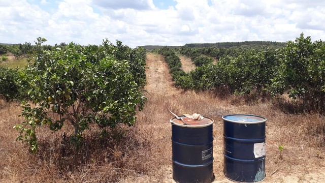 Fazenda/Sítio/Chácara para venda 30 ta = 130.680 m2  na zona rural - Rio Real - BA