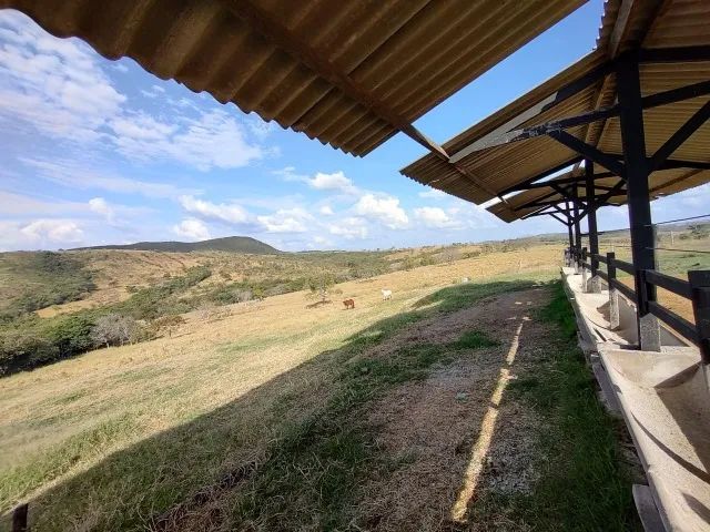 Fazenda de 220 Hectares em Leandro Ferreira - Foto 12