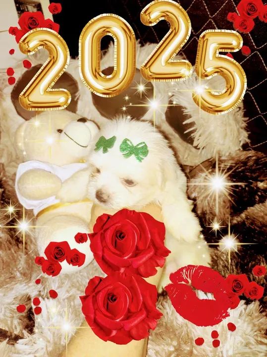 Bebês Esmeralda Radiantes - Foto 2