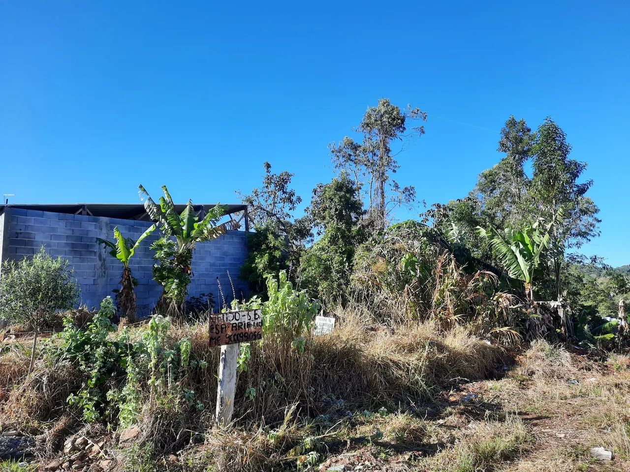 Terreno à venda - Oportunidade única! - Foto 4