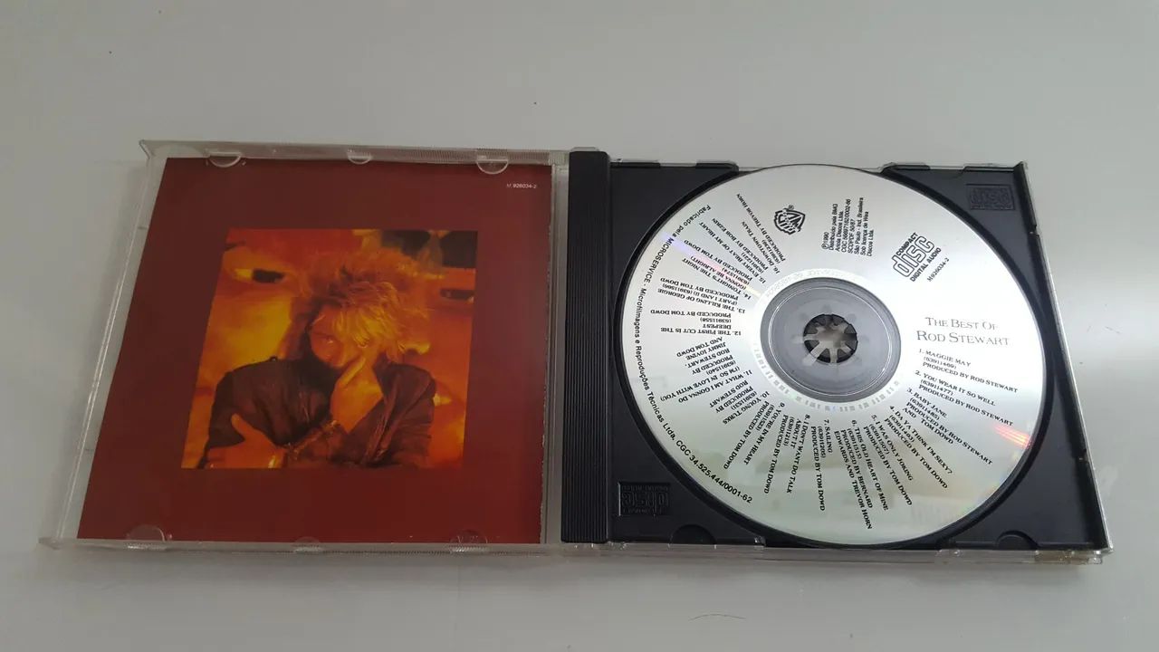 ROD STEWART  - Foto 2