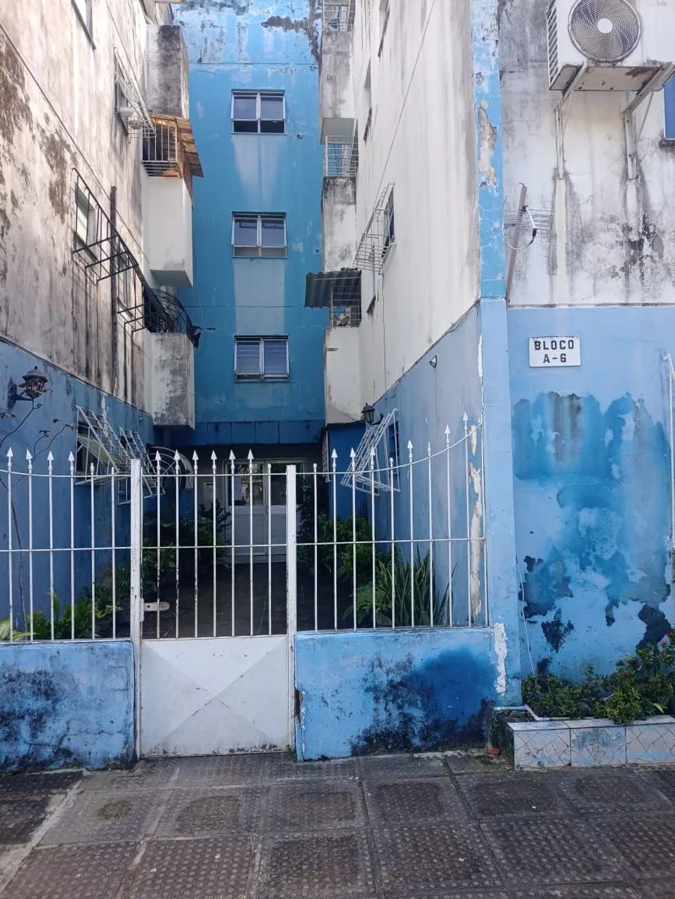 Foto - Paulista - Janga