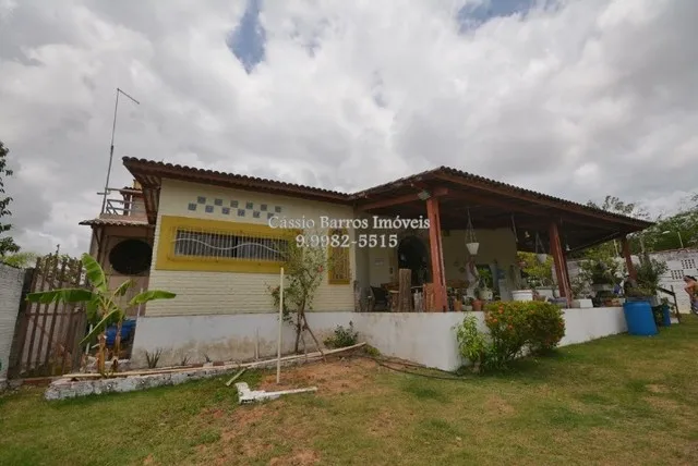 Granja em Pium