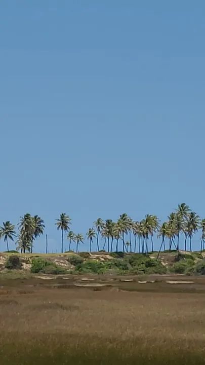 Aluguel de Casa em Condomínio  Porto de Sauípe  - Foto 11