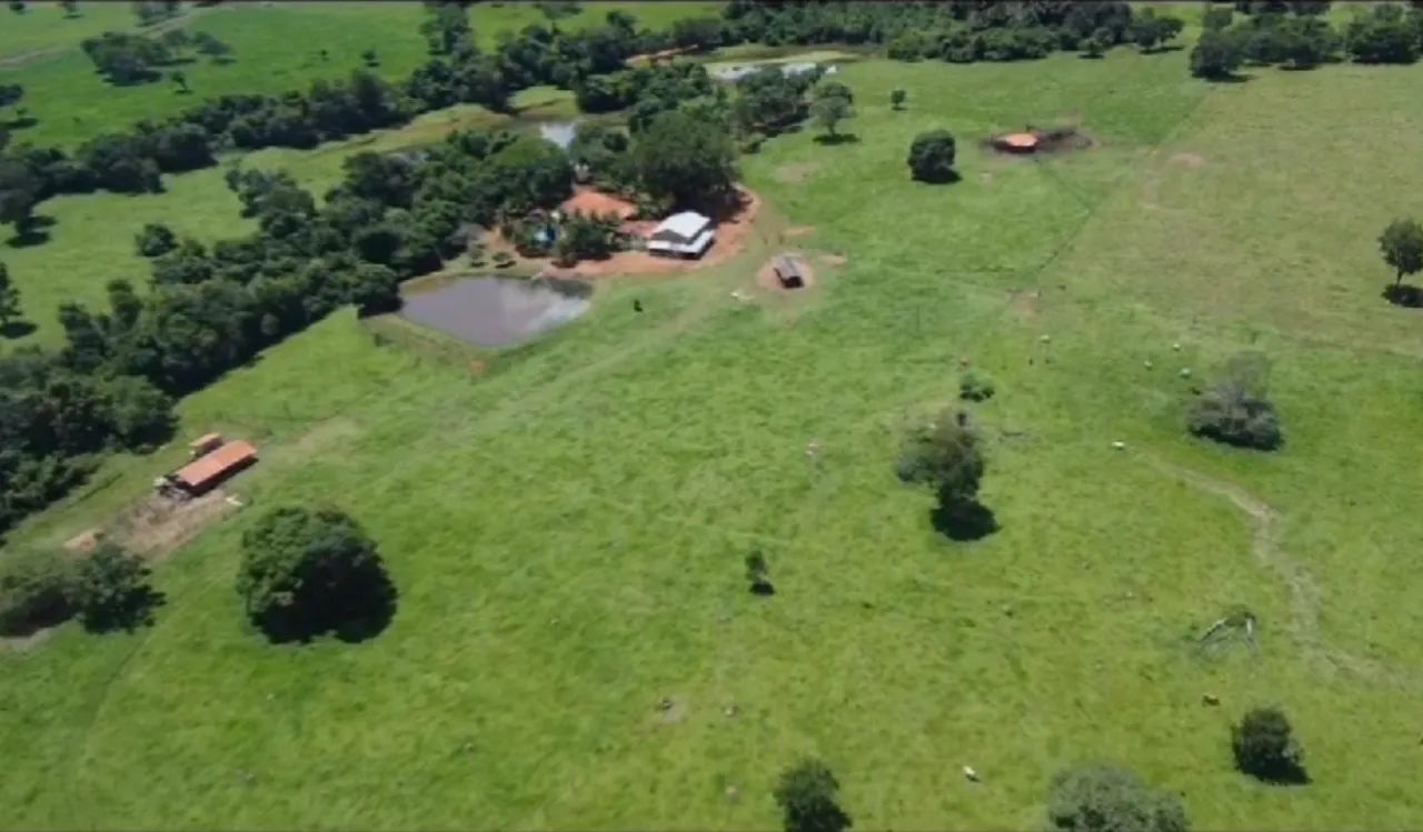Sítio 7.9 alqueires com rio em trindade Goiás  - Foto 3