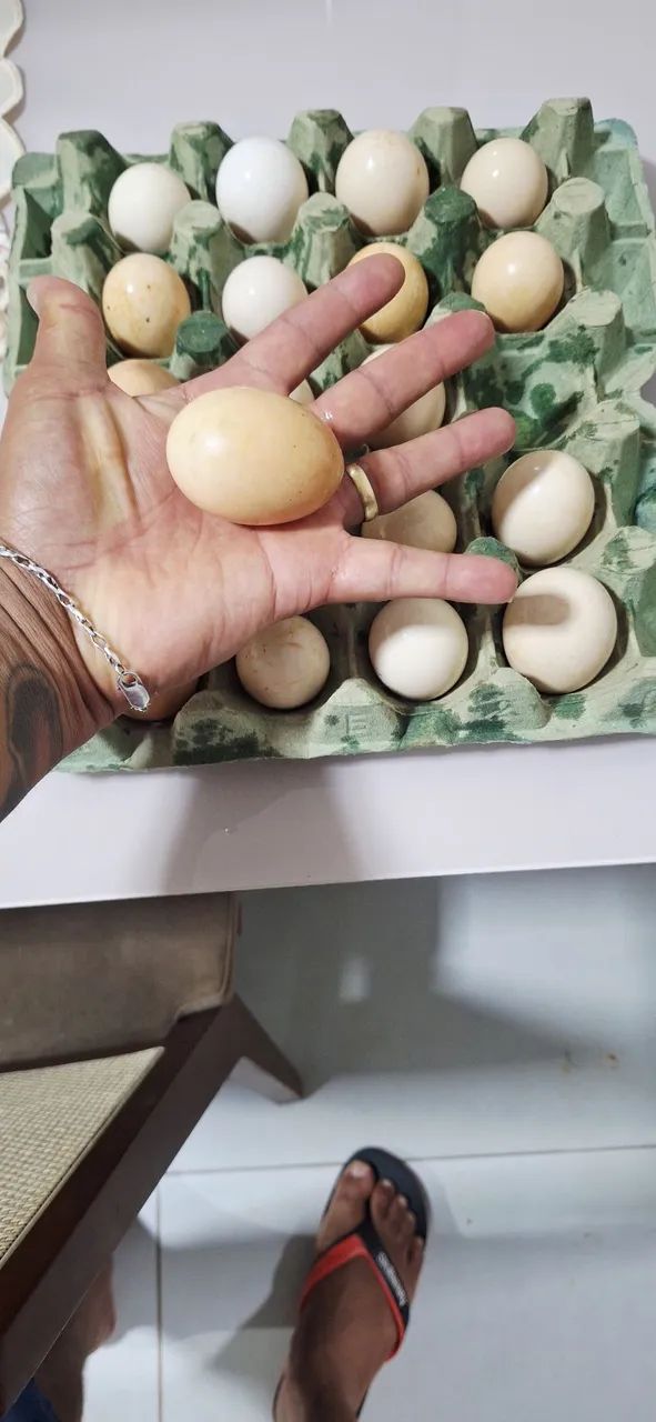 Ovos caipira 16 a dúzia  - Foto 2