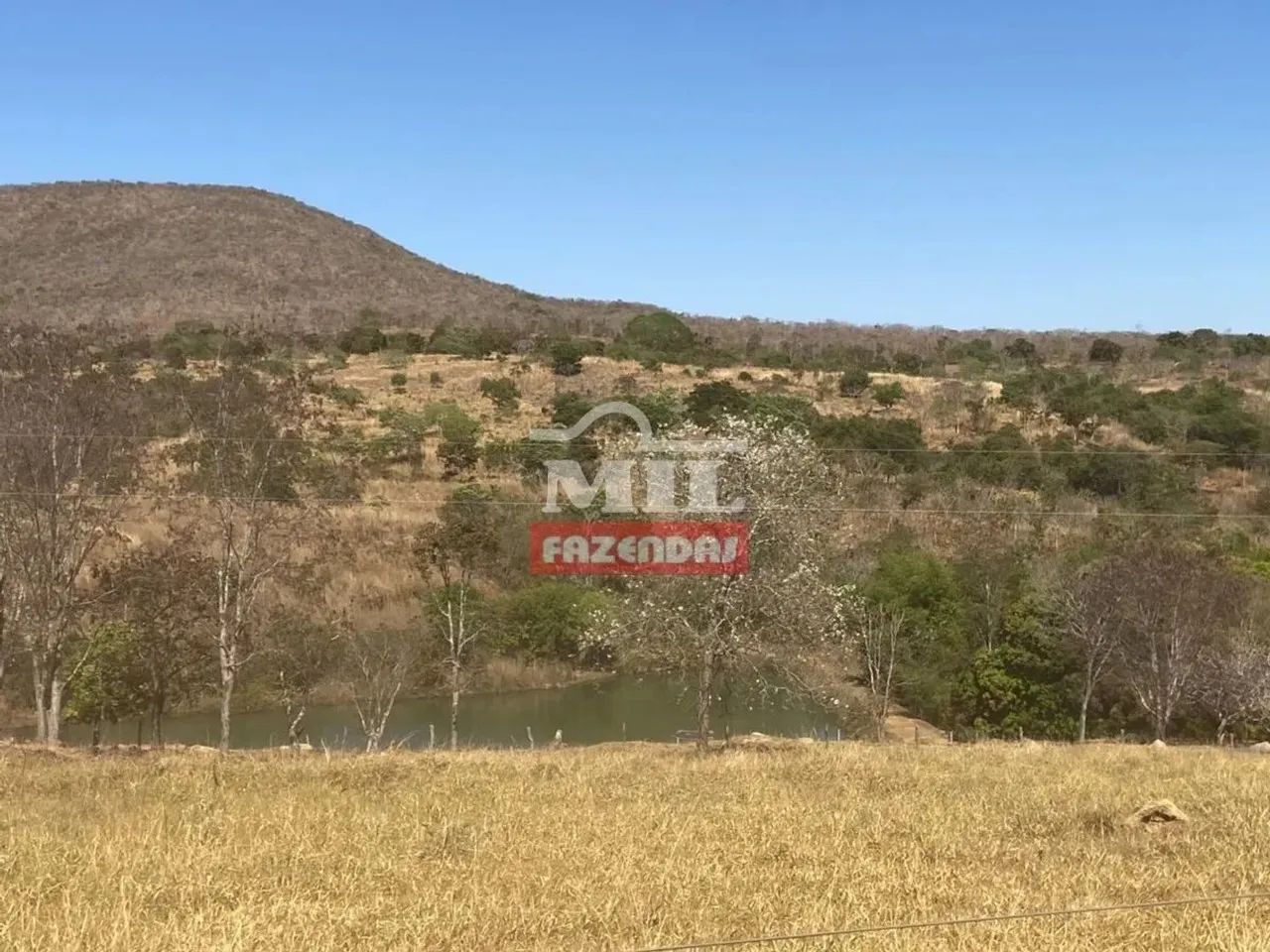Fazenda 15 Alqueires (72,6 Hectares) Pirenopolis - GO - Foto 9