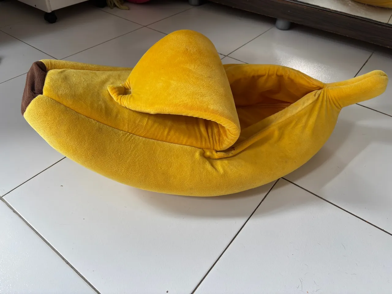 Caminha para Pet