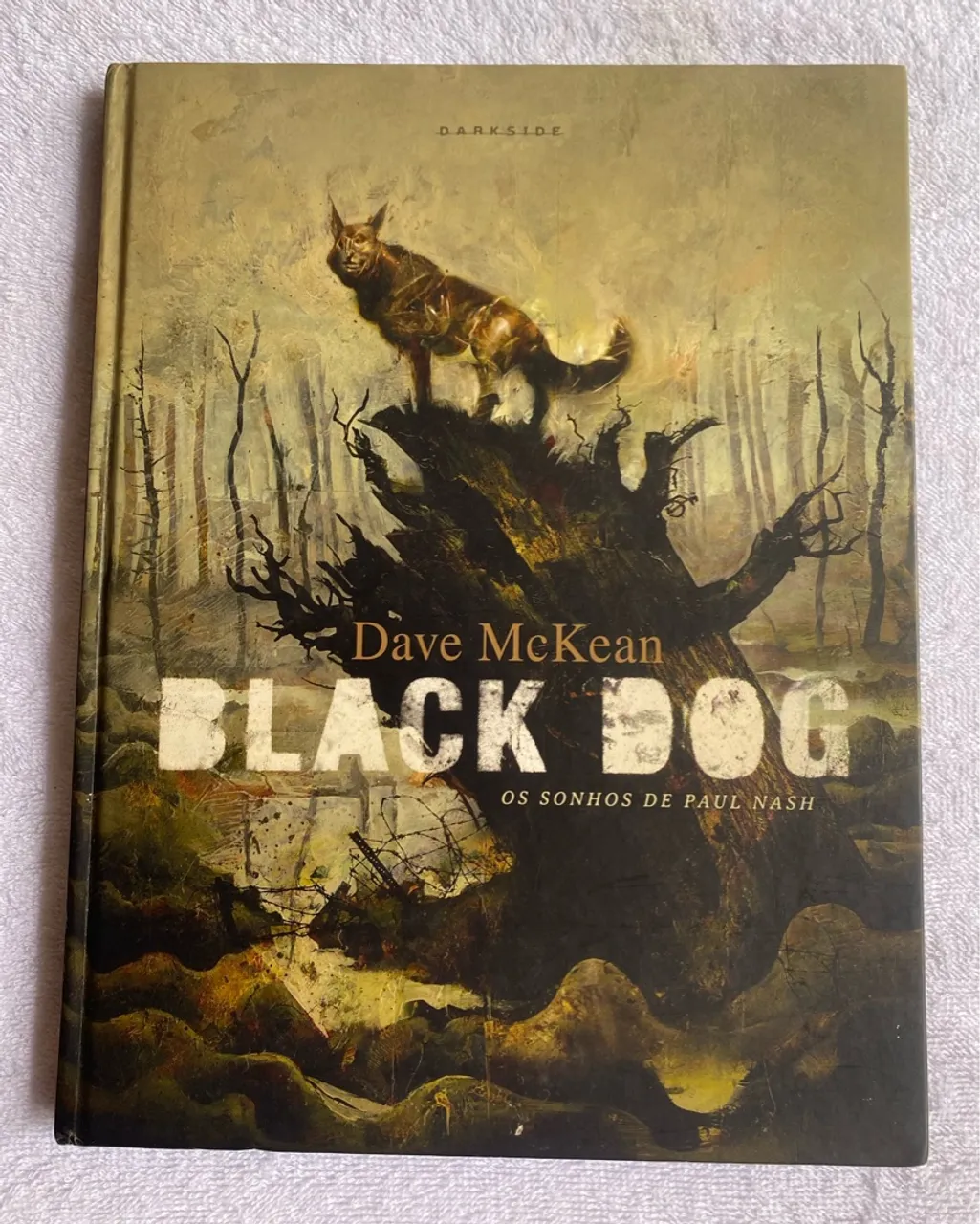 Black Dog - Os Sonhos de Paul Nash - Dave McKean