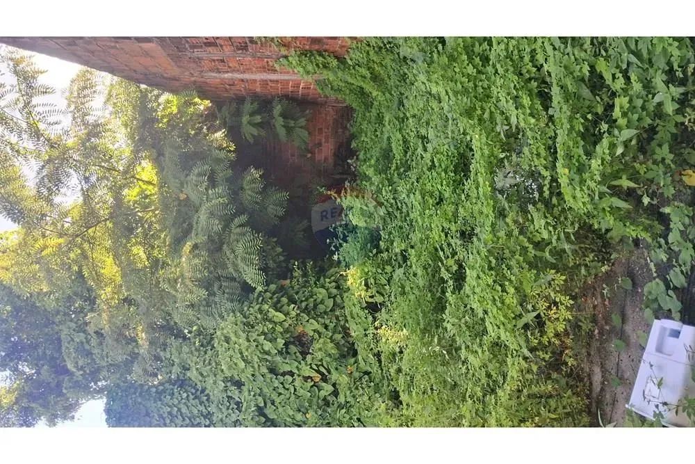 VENDO UM EXCELENTE TERRENO NASCENTE EM CAMPO GRANDE . - Foto 5