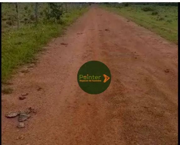 Fazenda à venda, por R$ 14.640.000 - Zona Rural - Duerê/TO - Foto 4