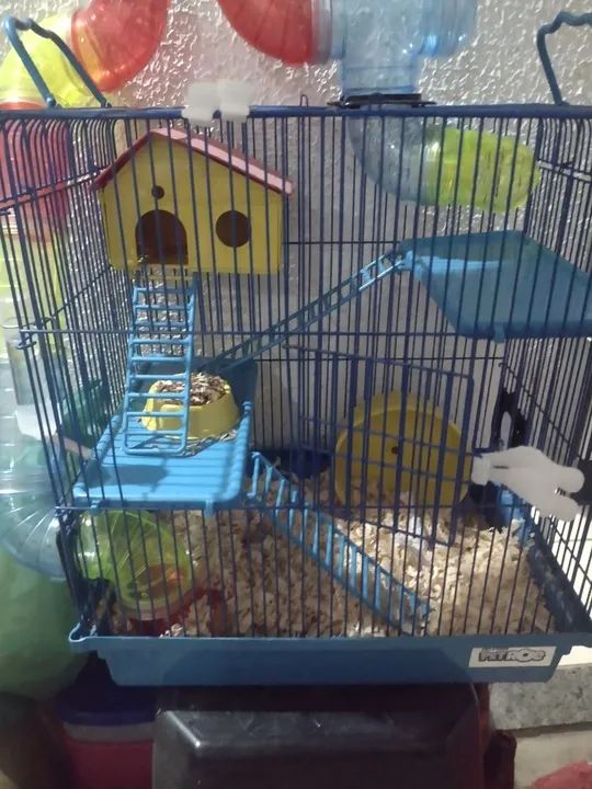 Combo Hamster! Conjunto vem o hamster e a gaiola - Foto 2