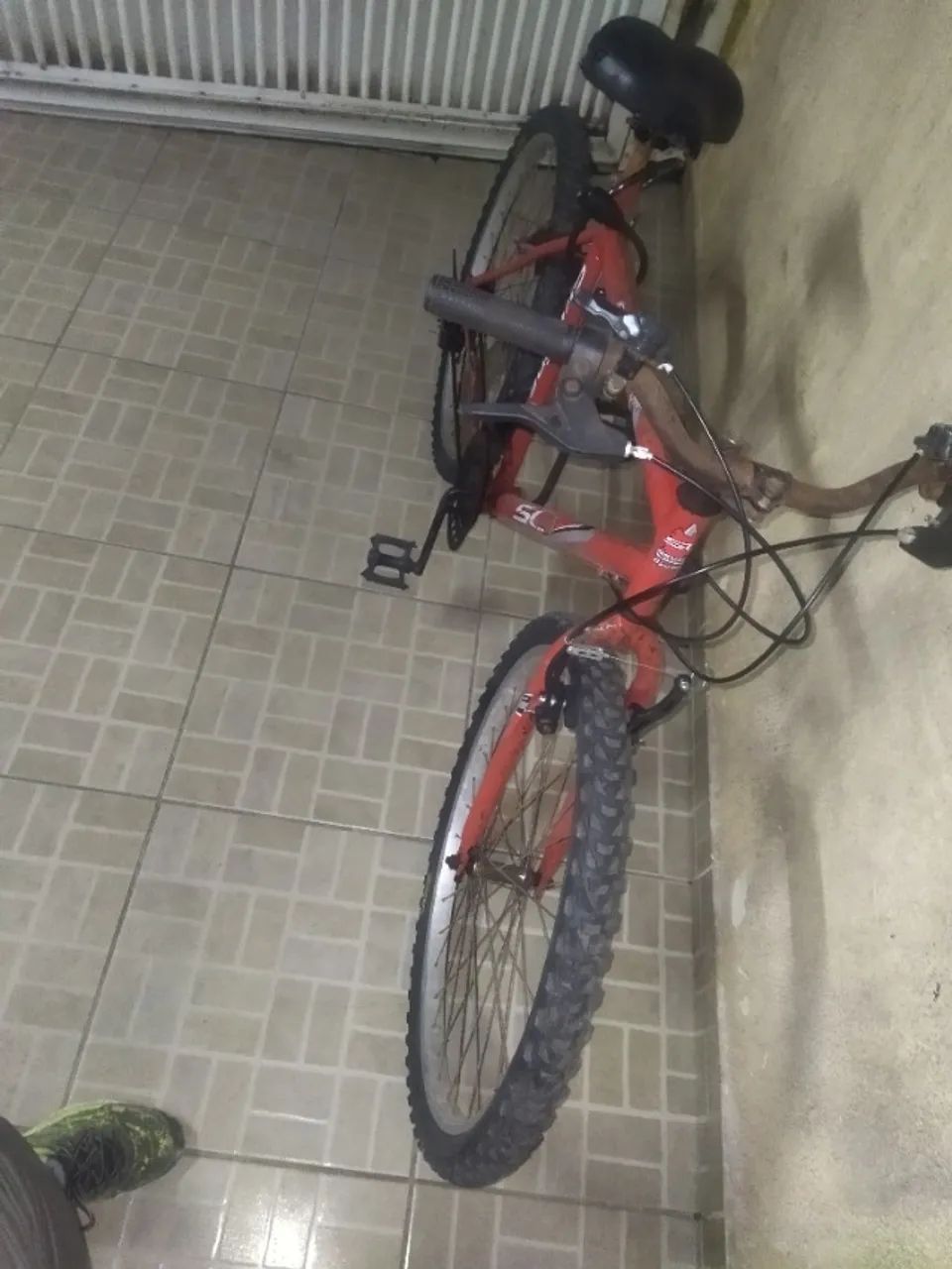 Bicicleta 