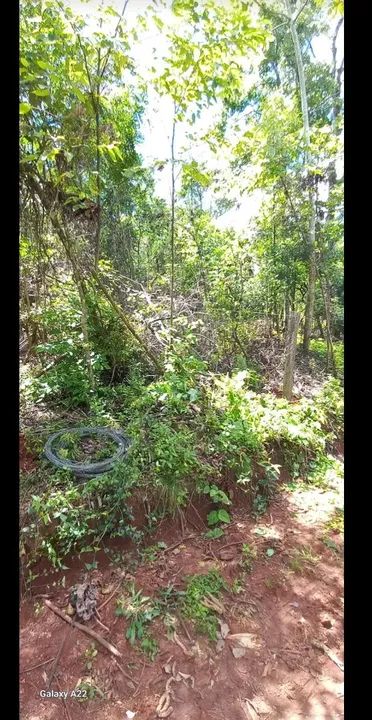 Chacra em meio a natureza,