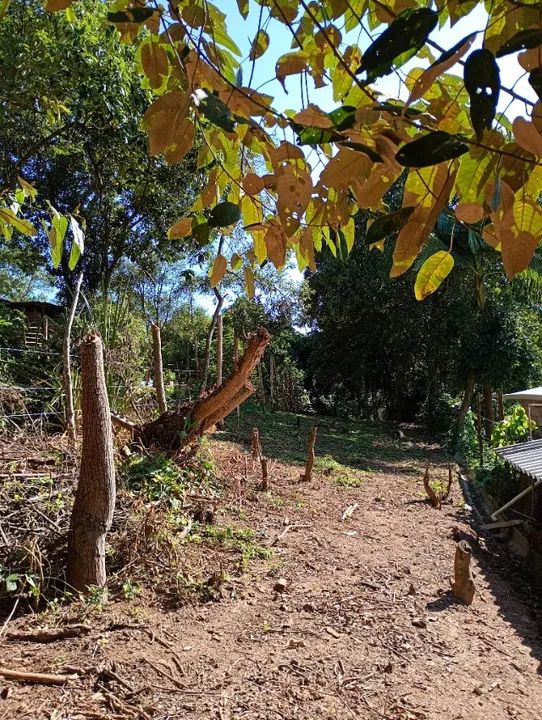 Terreno 