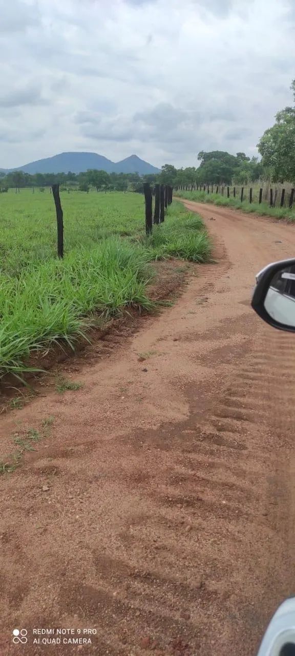 Faz 61. 5 Alq  45 Alq de Pasto próx Paraíso Do Tocantins  - Foto 4