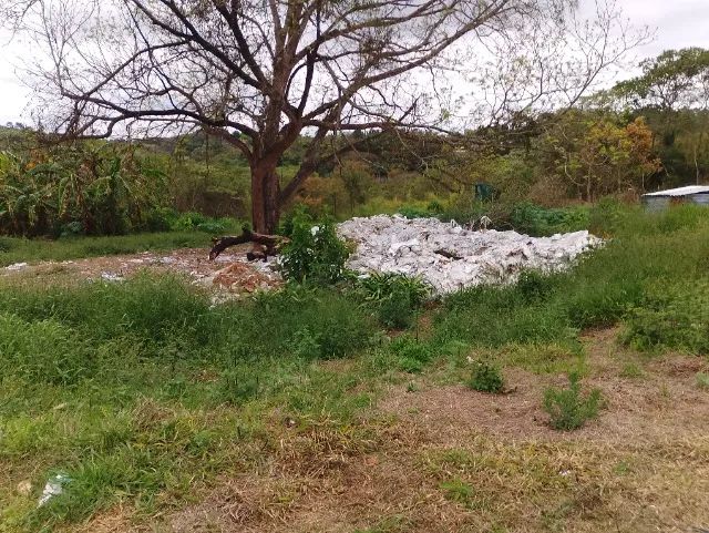 Foto - São Roque - Caete (Mailasqui)