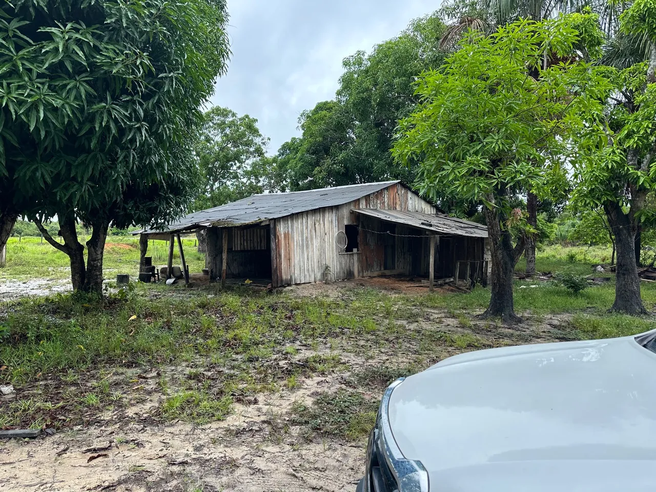 Vendo fazenda na RR 432